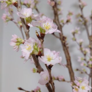 企業のブランドイメージ向上を目指して